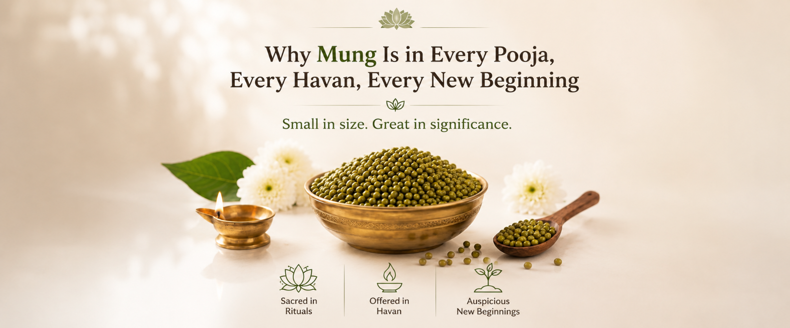 Why Mung Is in Every Pooja, Every Havan, Every New Beginning