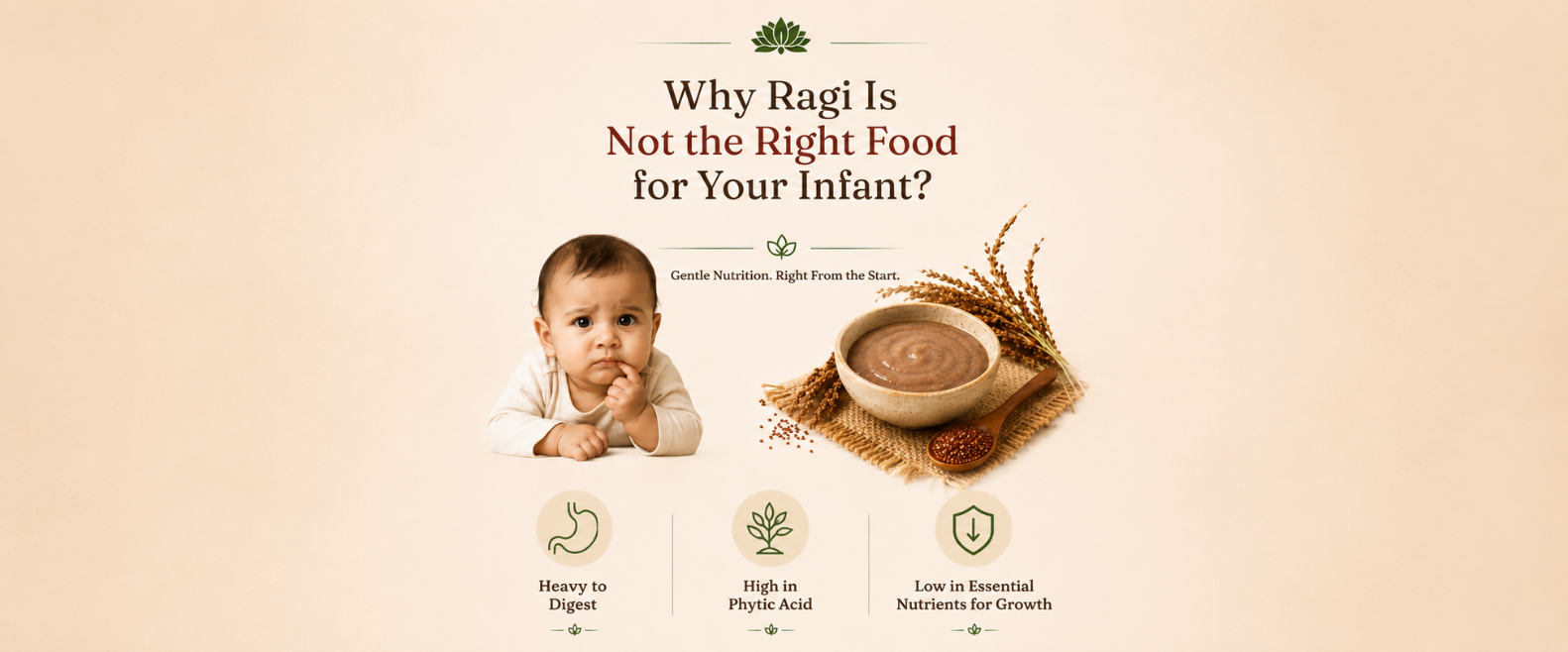 Why Ragi Is Not the Right Food for Your Infant?